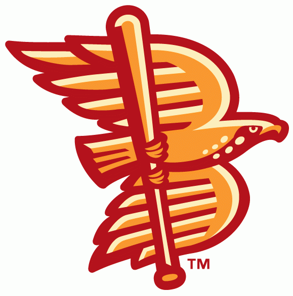 Boise Hawks 2007-Pres Alternate Logo iron on transfers for clothing